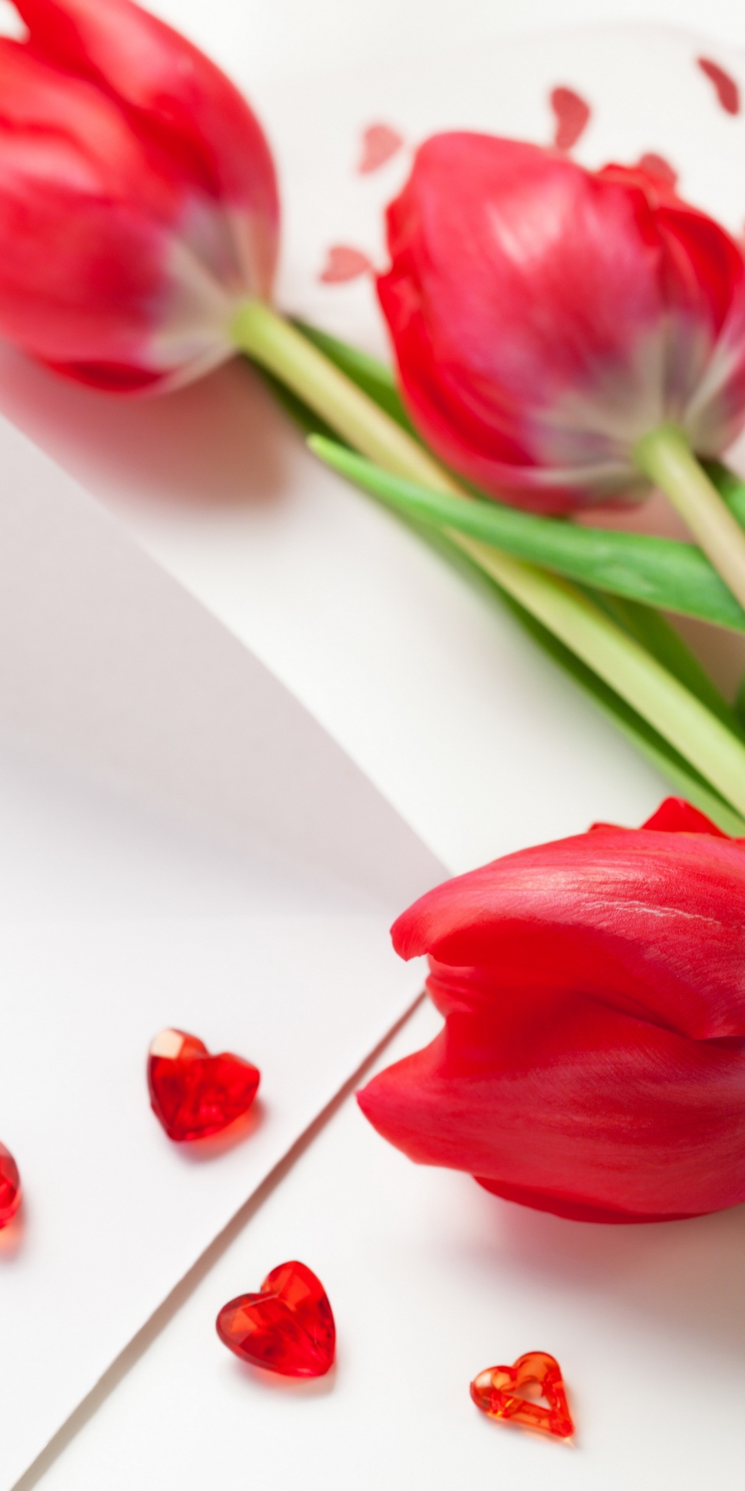Red Tulips For Womens Day