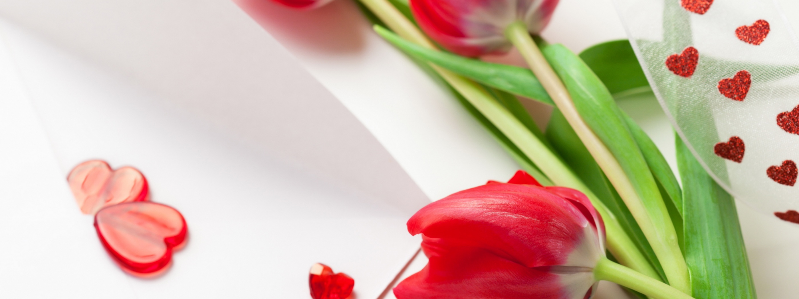 Red Tulips For Womens Day