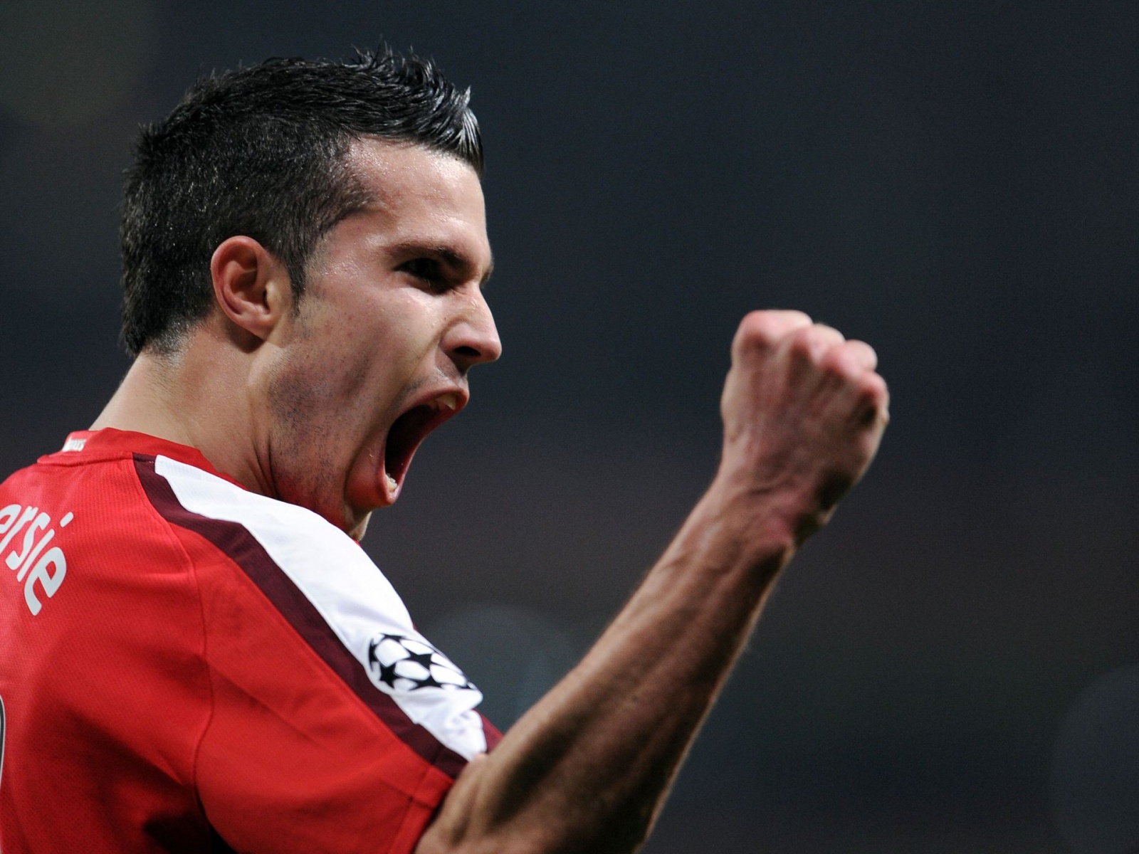 Robin Van Persie