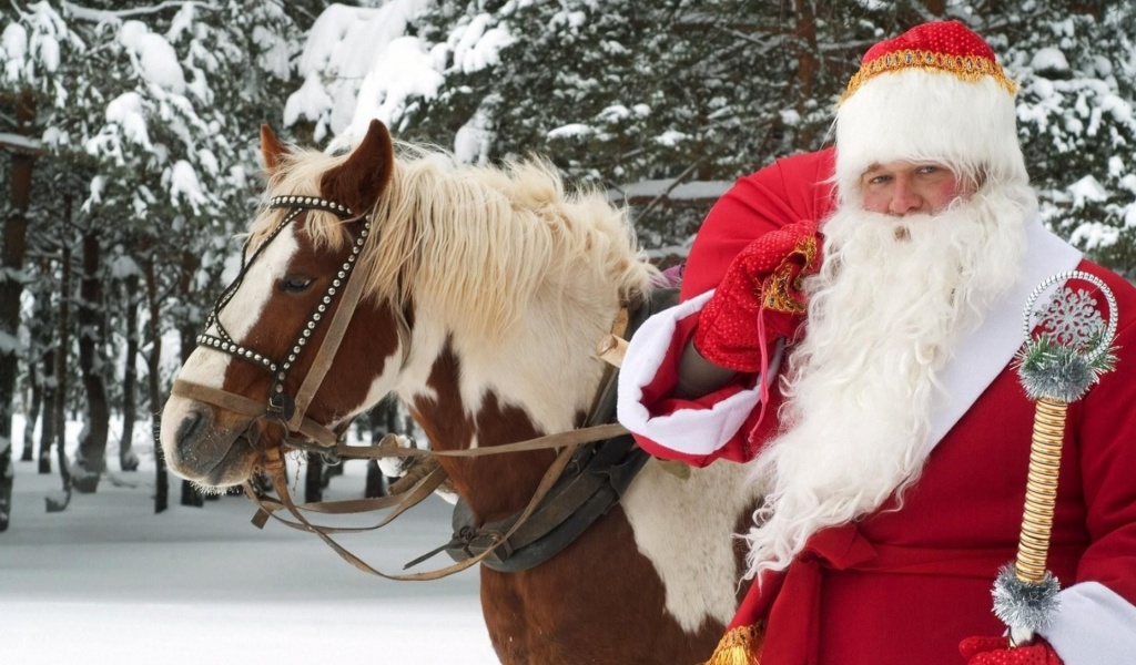Santa Claus Horse New Year Forest