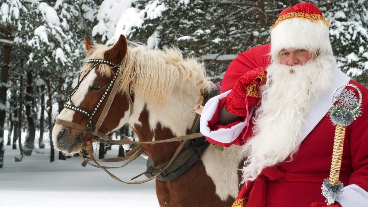 Santa Claus Horse New Year Forest