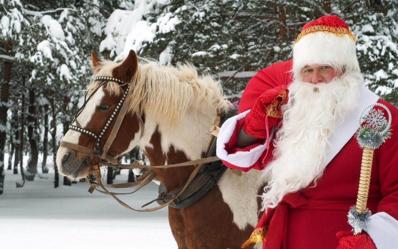 Santa Claus Horse New Year Forest