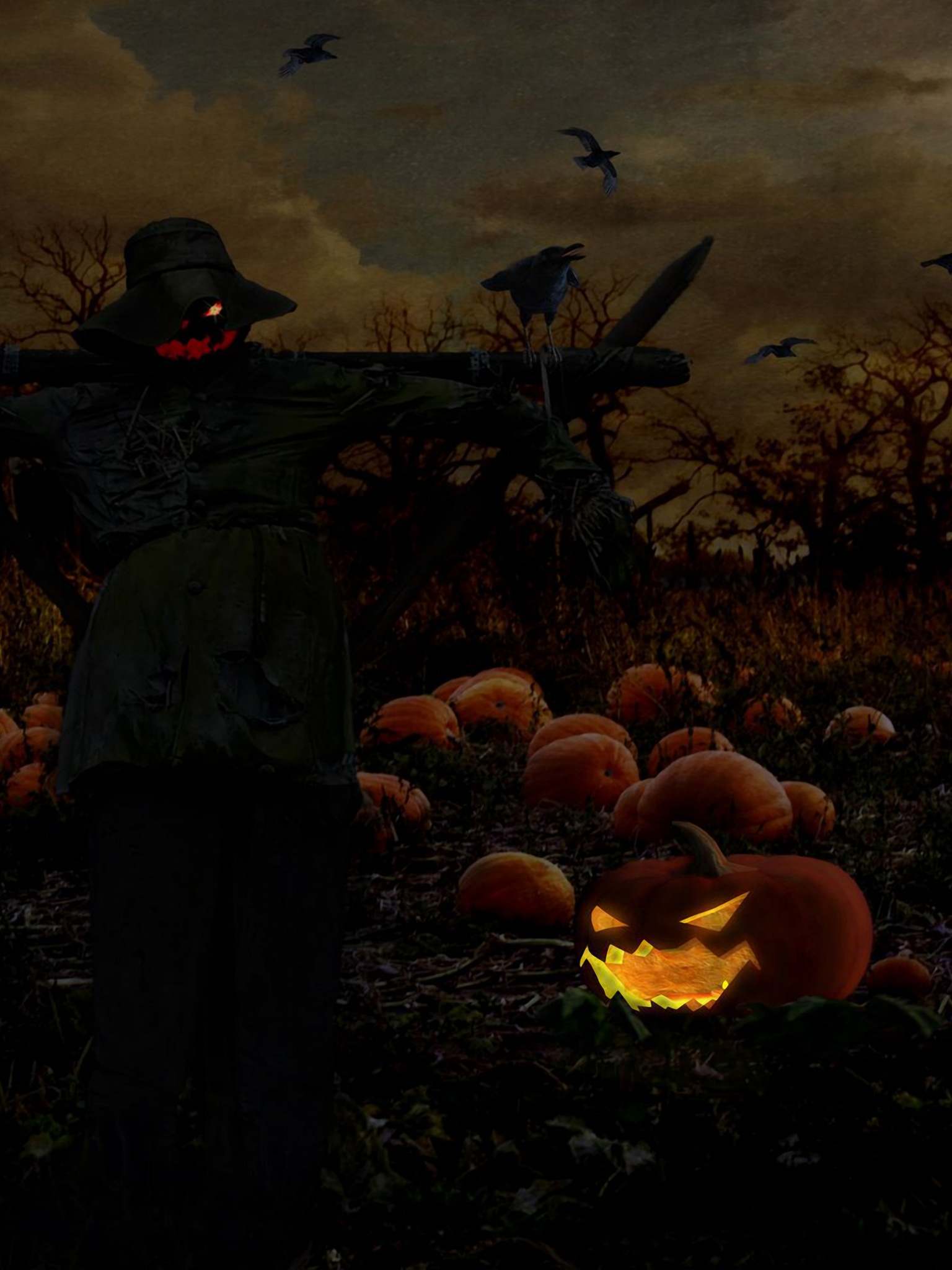 Scarecrow Jack O Lantern