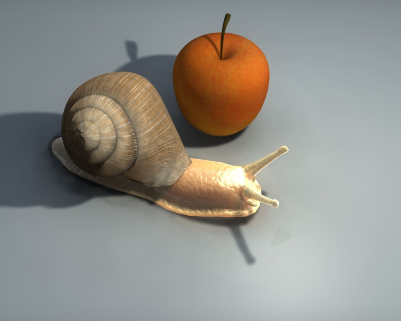 Schnecke Is The File Name