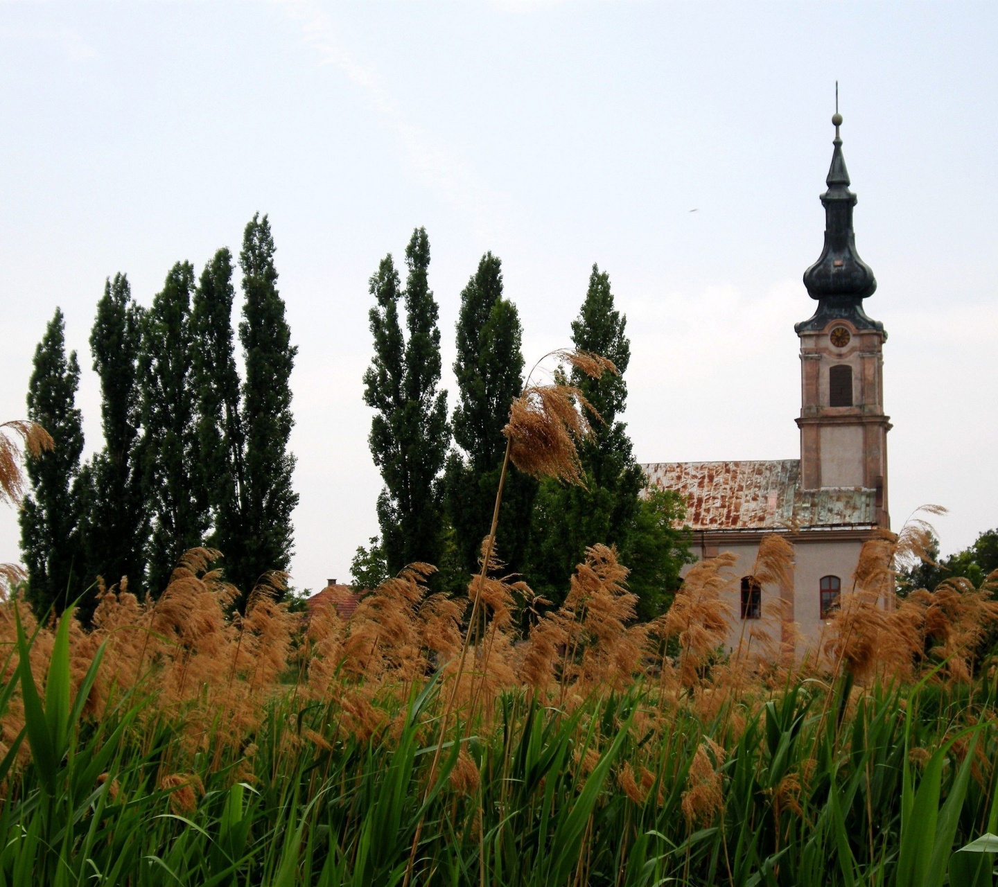 Serbian Orthodox Church Vojvodina Serbia