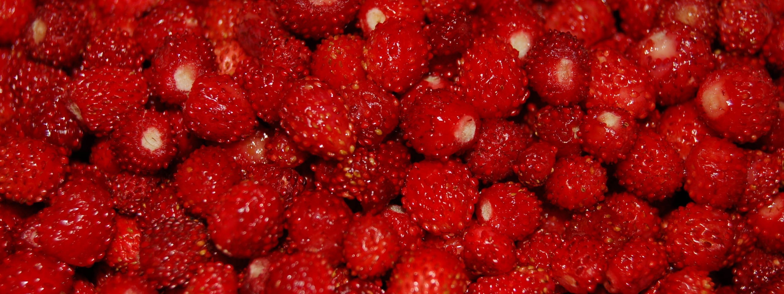 Small Strawberries