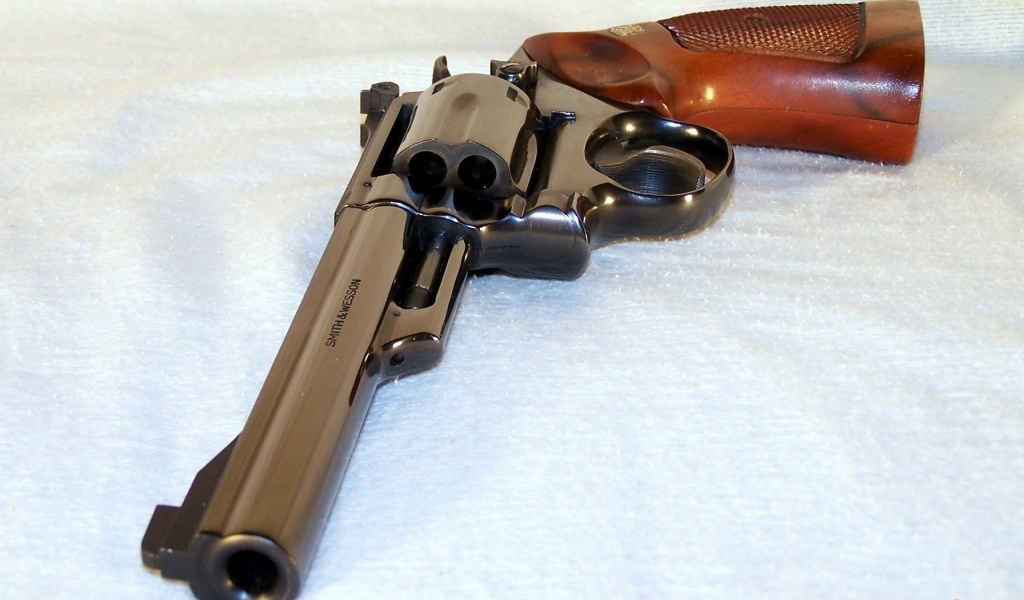 Smith Wesson Model 19