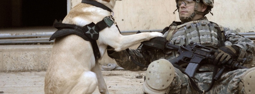 Soldier Dogs