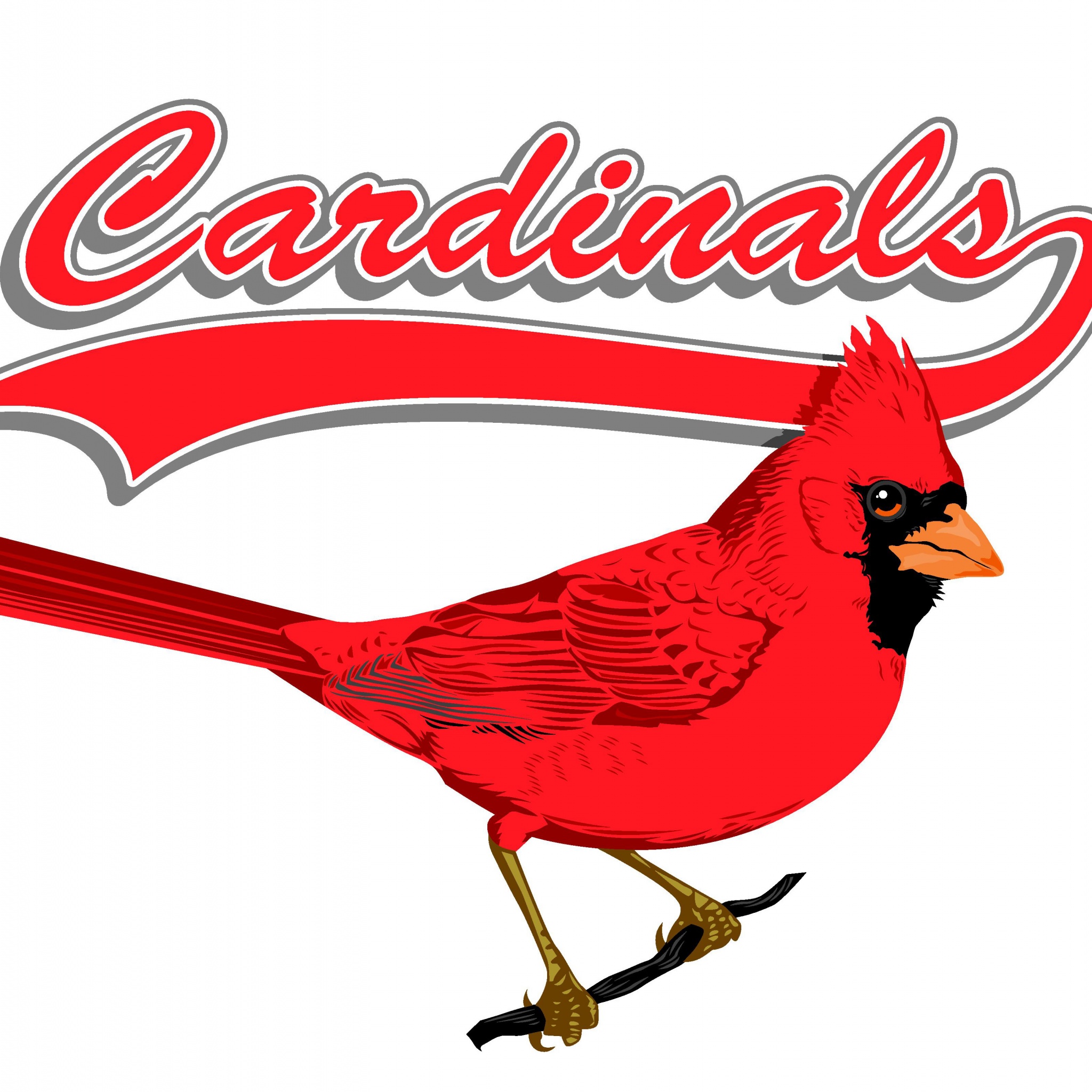 St. Louis Cardinals - Team Logo