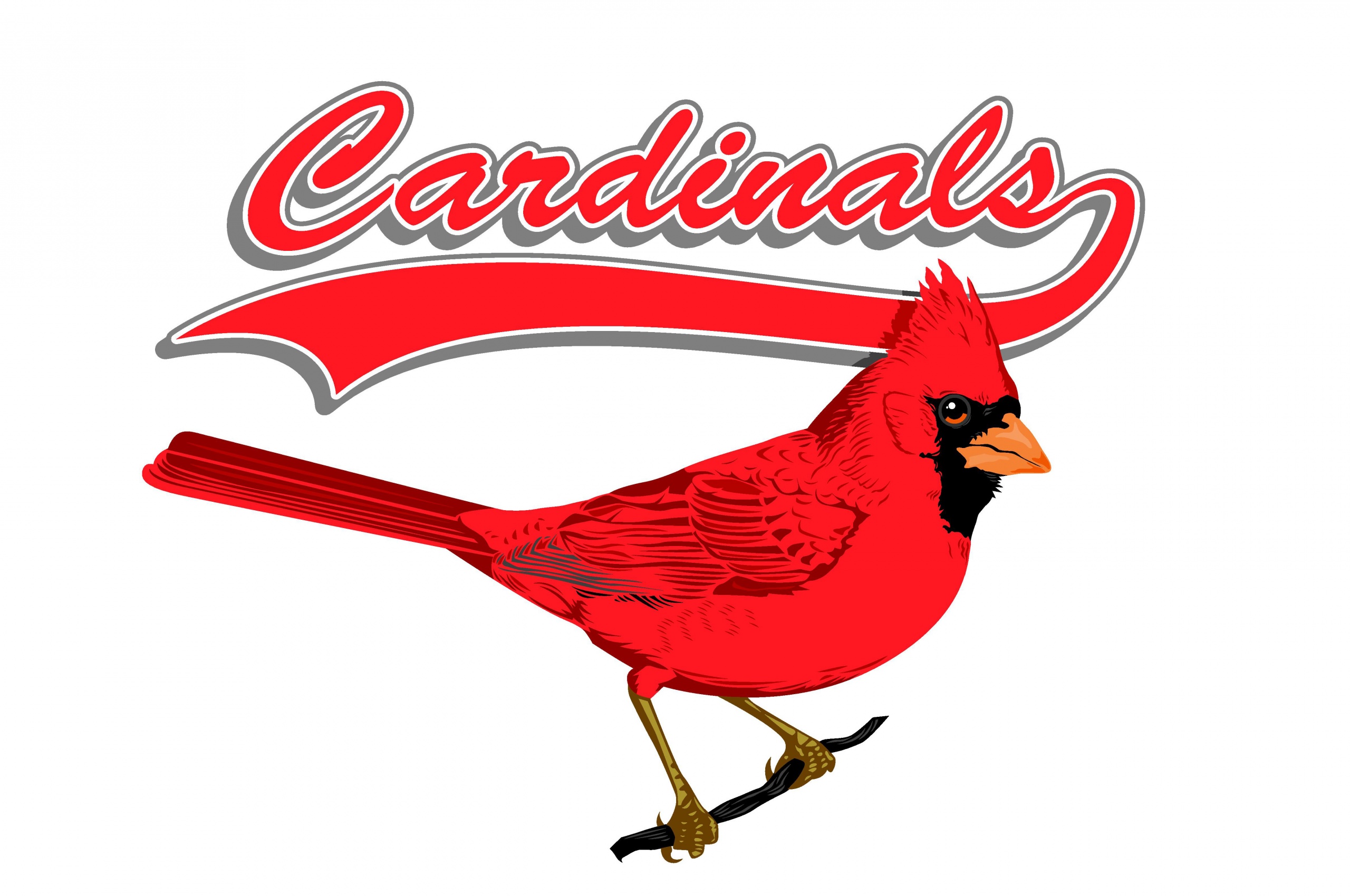 St. Louis Cardinals - Team Logo