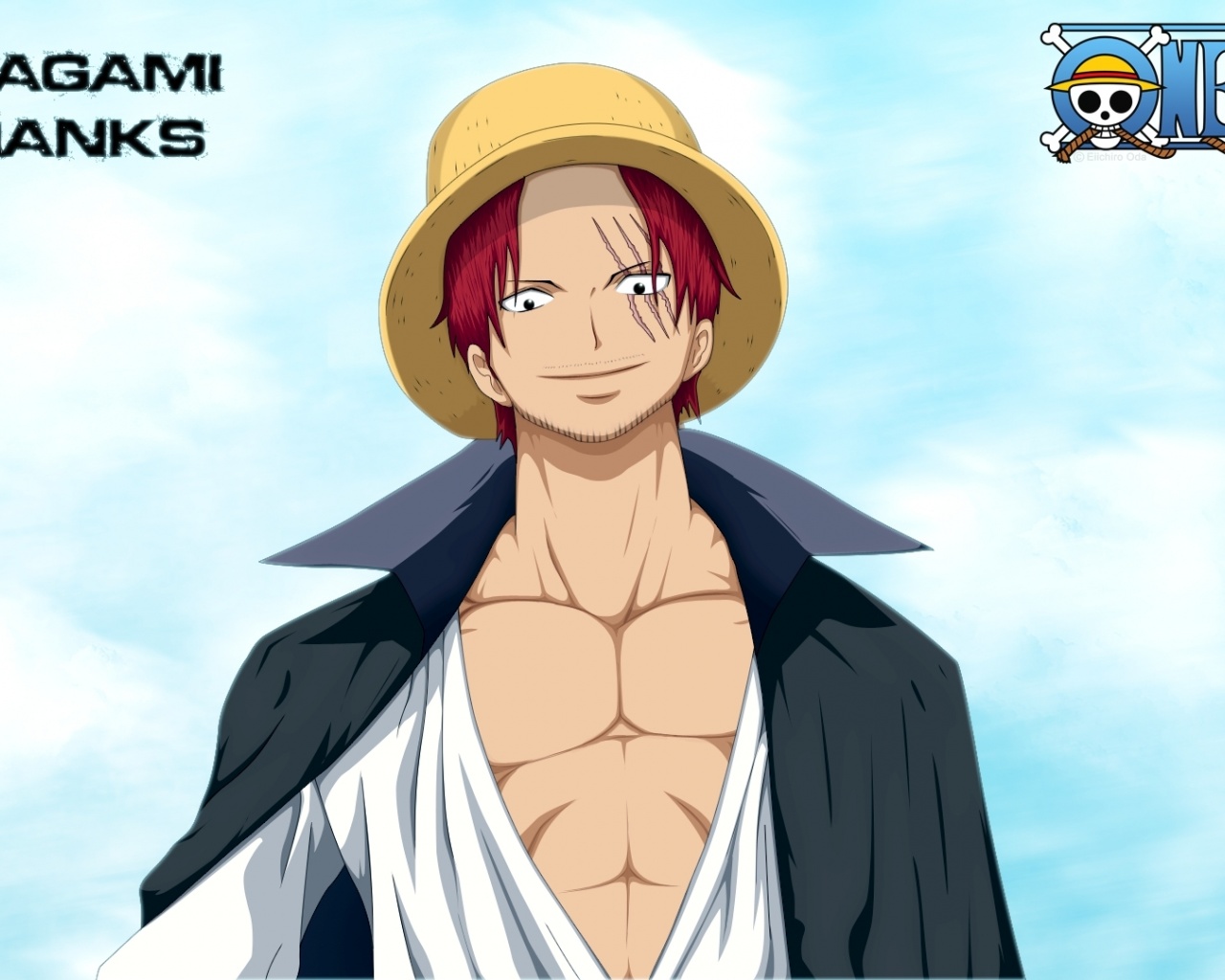Straw Hat Pirates The One Piece Anime Pirate