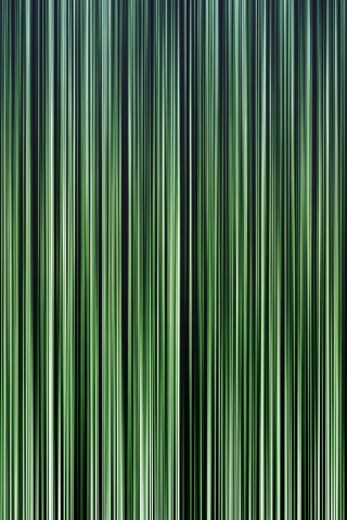 Stripes Lines Green