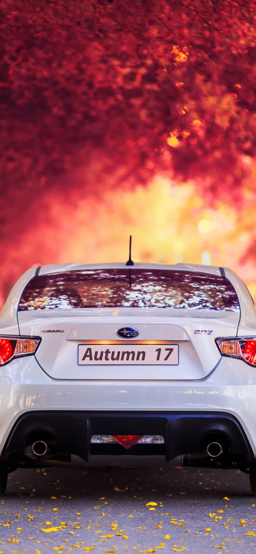 Subaru Car In Autumn