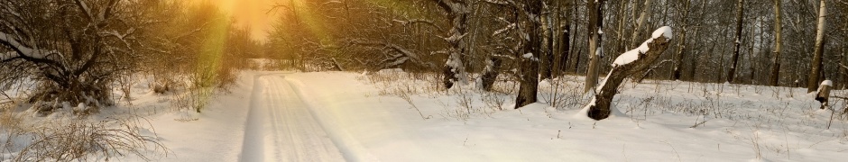 Sunset Through Snowy Woods