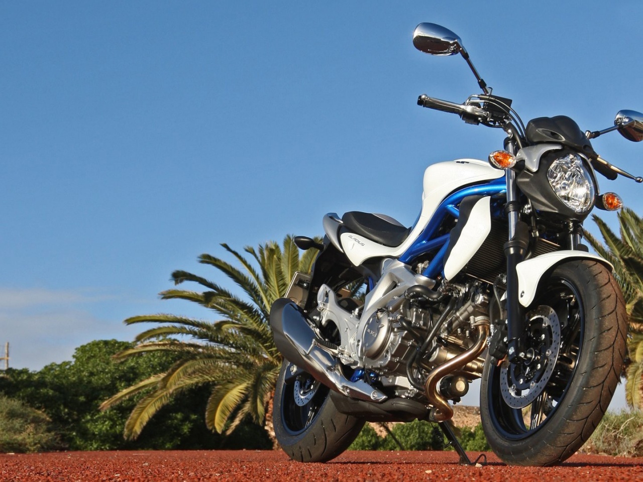 Suzuki Sfv650 Gladius