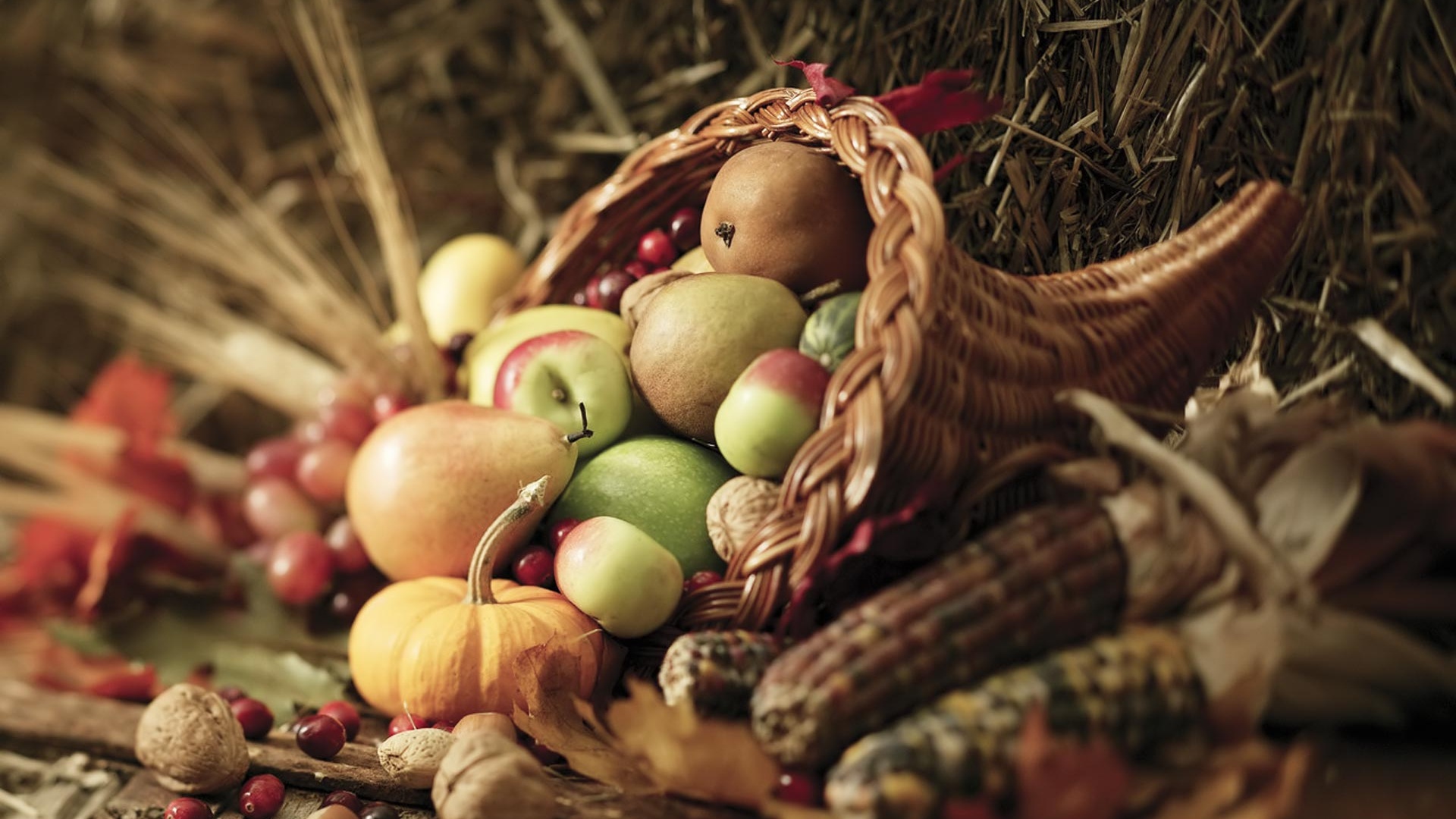 Thanksgiving Desktop