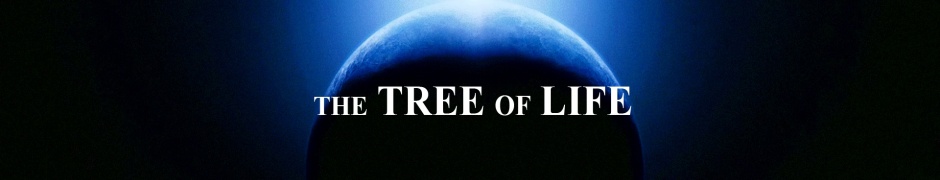 The Tree Of Life Wallpapers