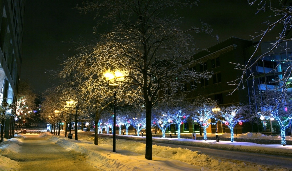 Trees Park Winter Ornament Decor Street Night City Landscape