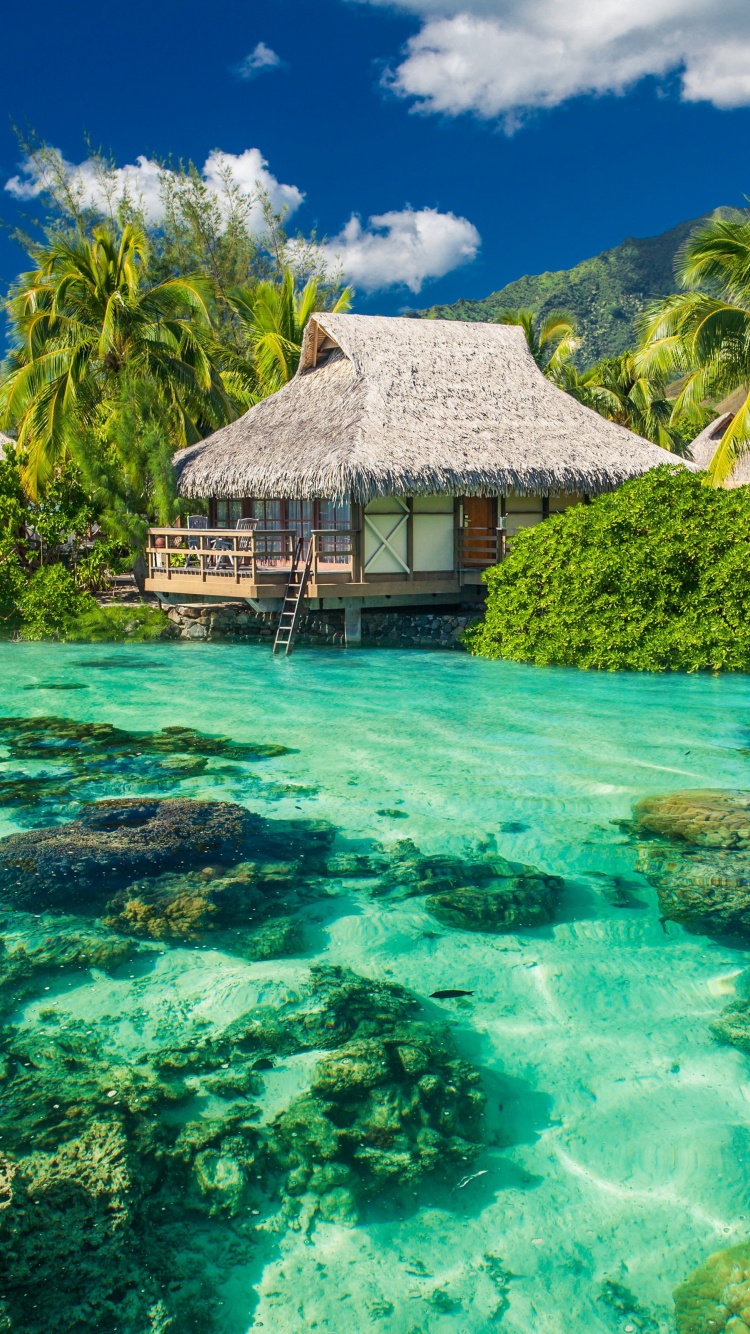 Tropical Seaside Cottages