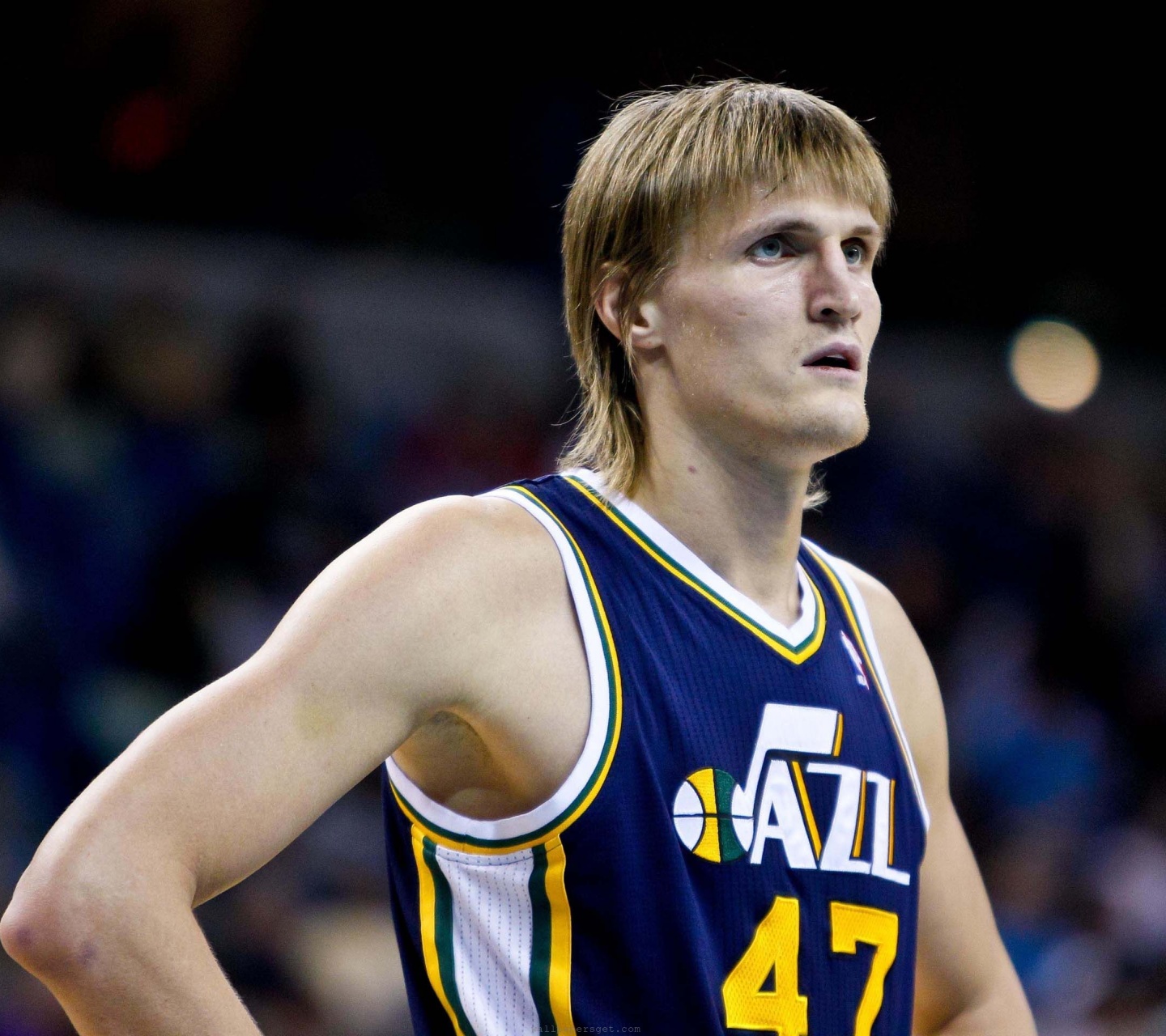 Utah Jazz American Professional Basketball Andrei Kirilenko