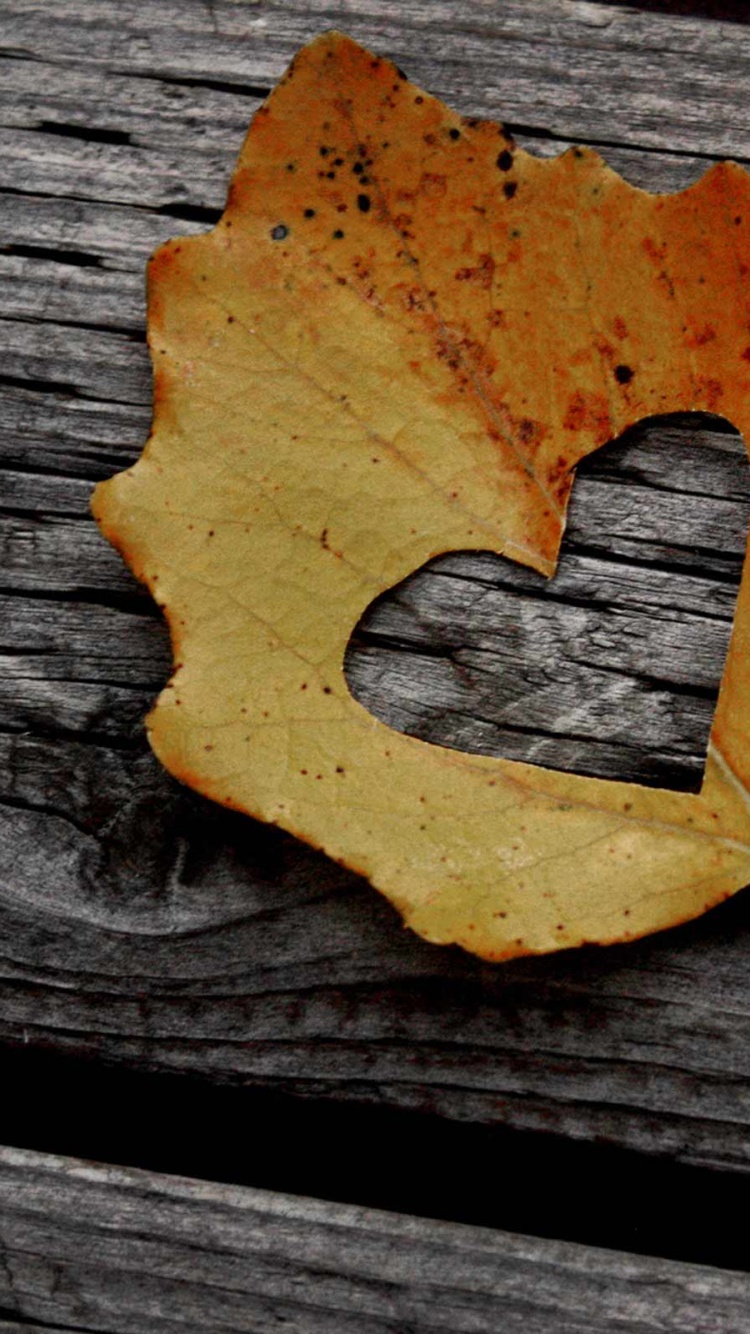 Valentines Day Leaf Heart