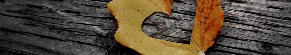 Valentines Day Leaf Heart