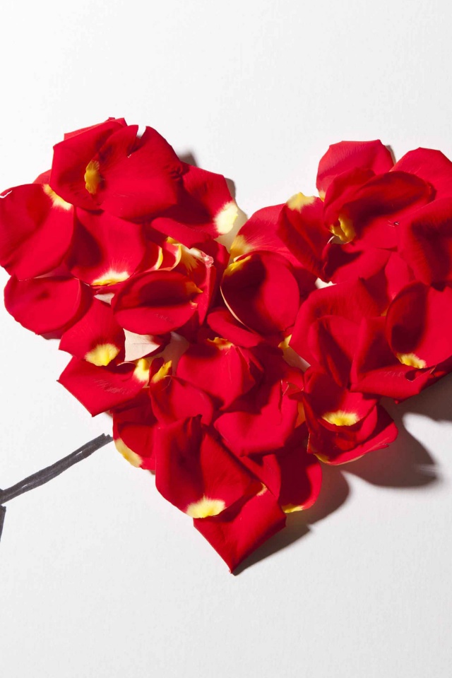 Valentines Day Petal Heart