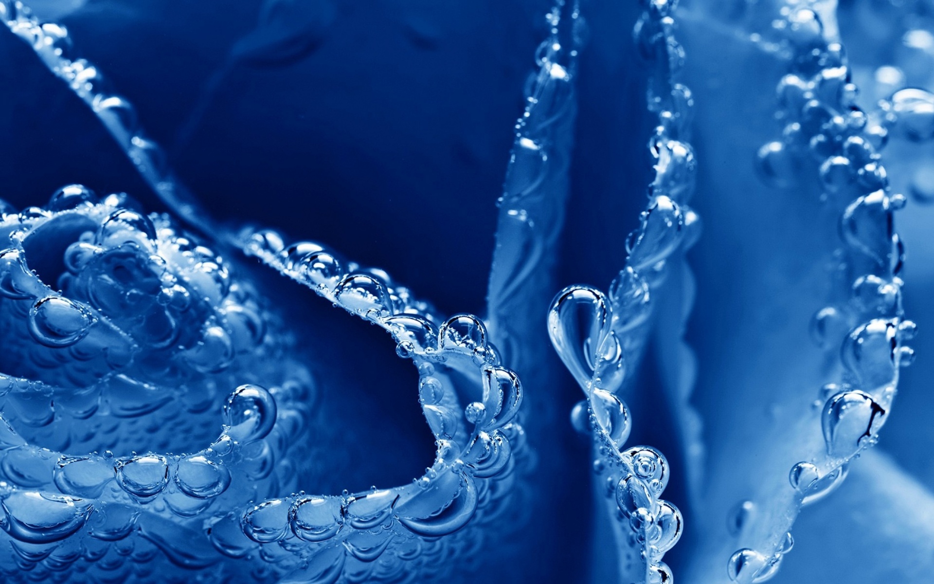 Water Blue Bubbles Macro