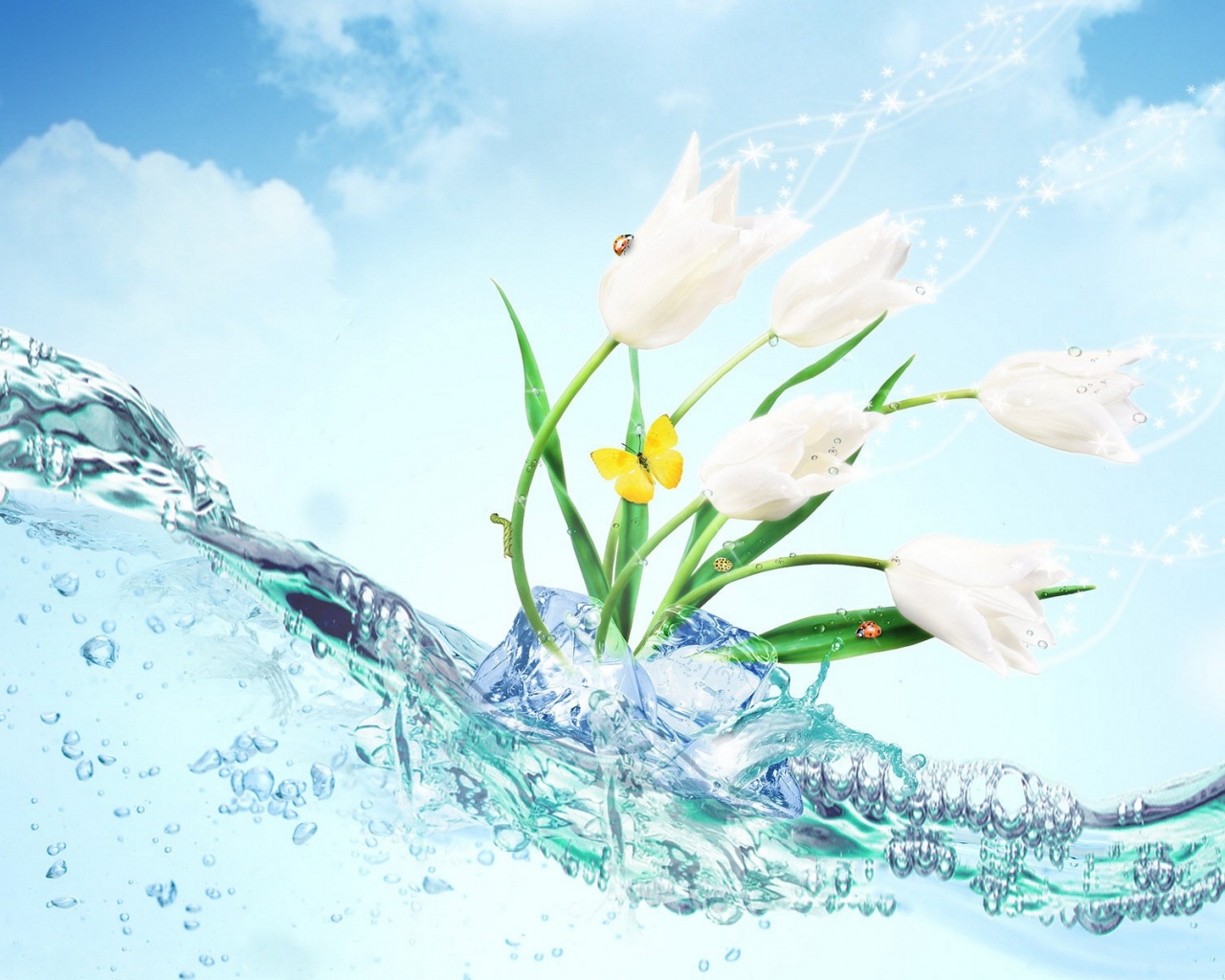 Water Tulip Desktop Wallpaper