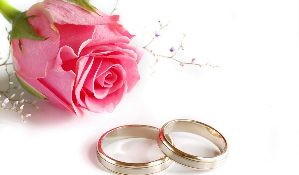 Wedding Rings Rose