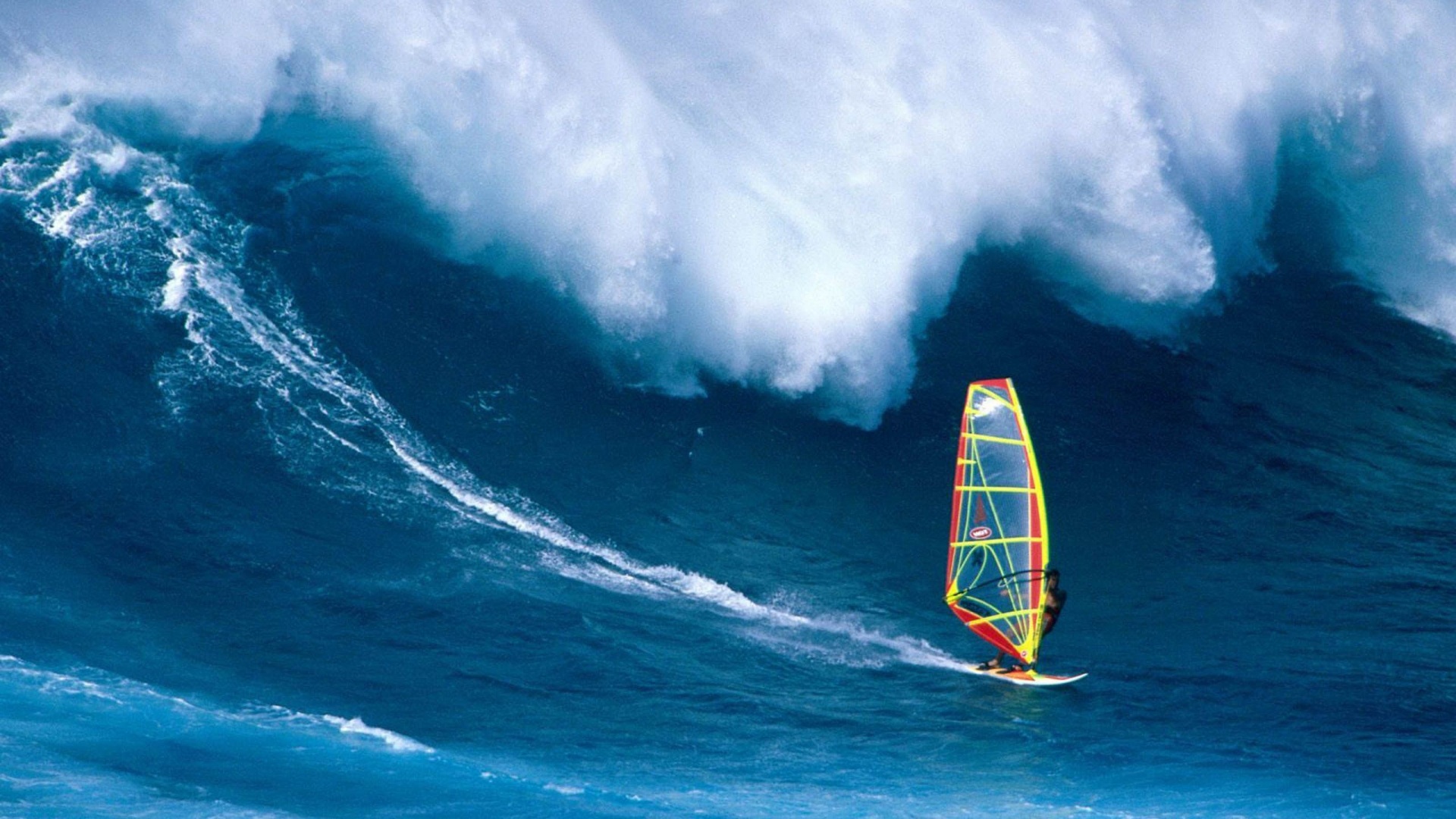 Wind Surfing Surfer