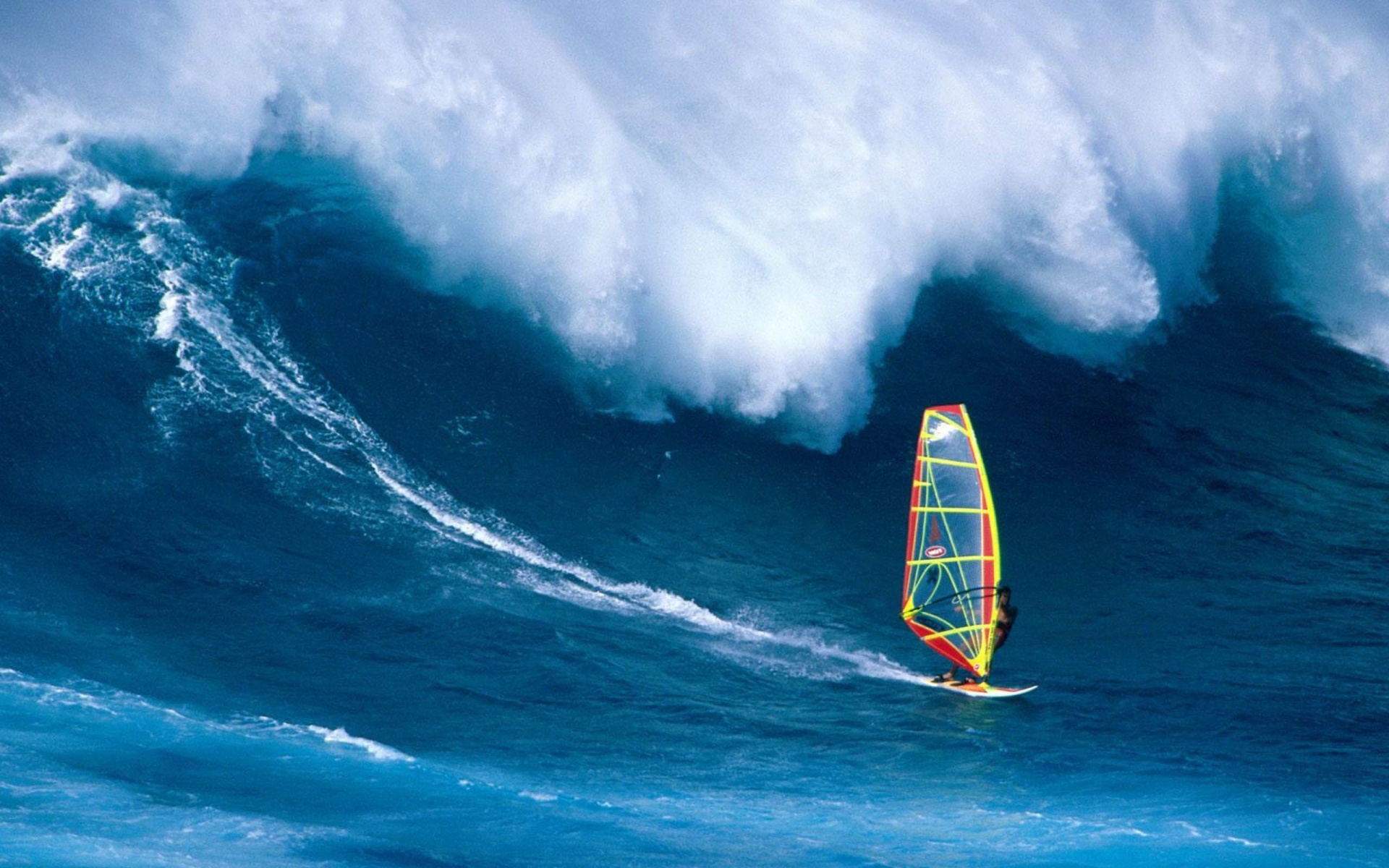 Wind Surfing Surfer