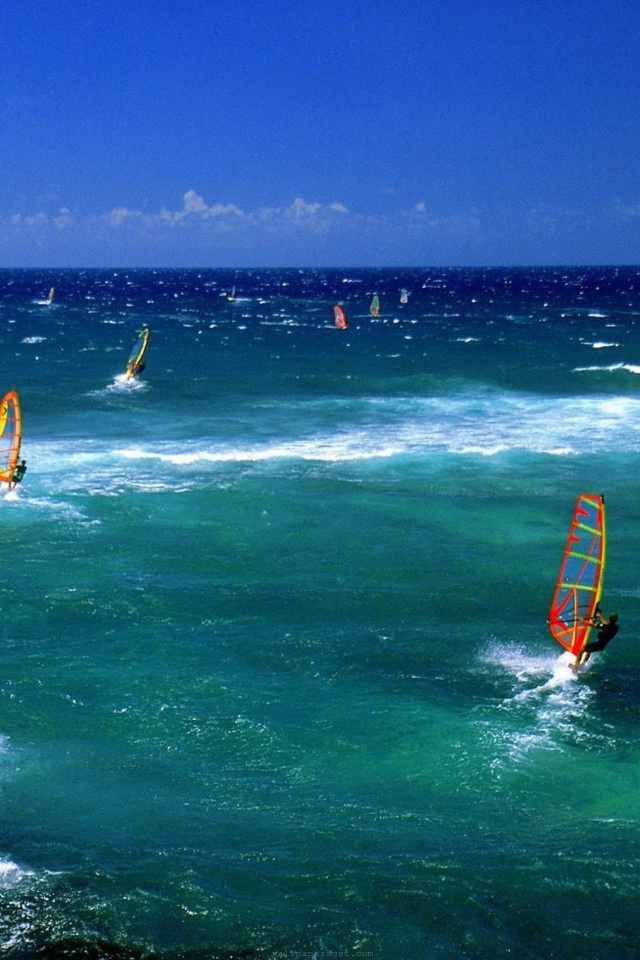 Wind Surfing Surfer Maui