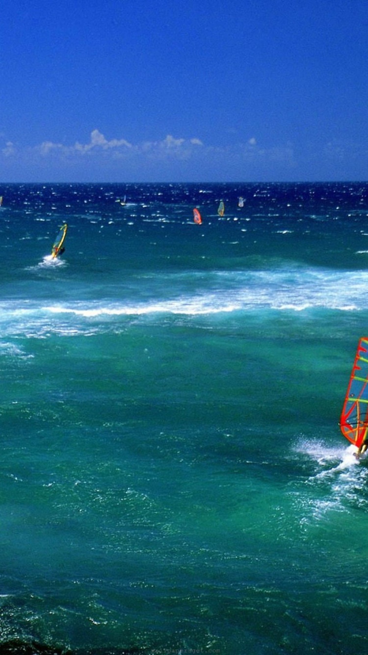 Wind Surfing Surfer Maui