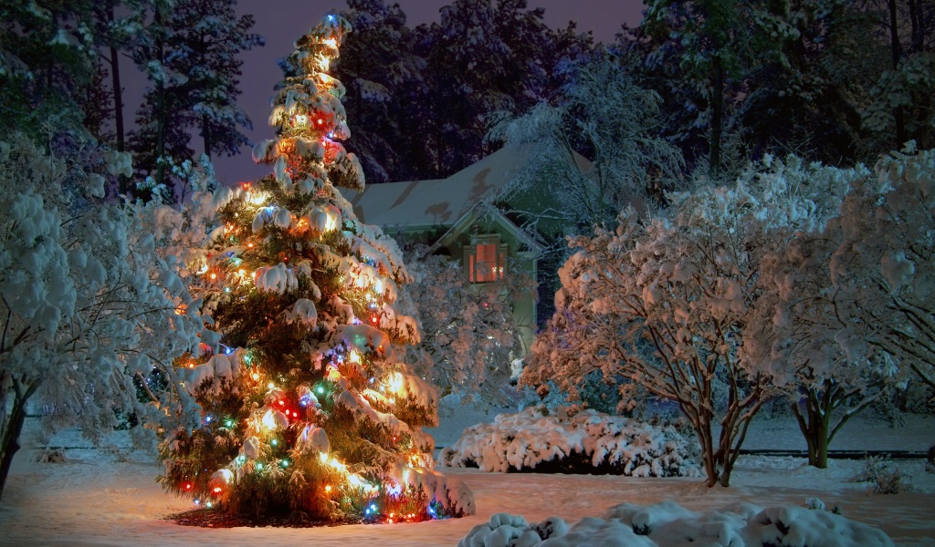 Winter Christmas Tree Holiday
