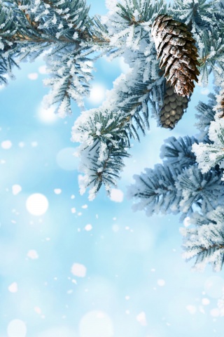 Winter Snow Christmas Tree Pine Cone