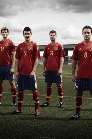 World Cup Spain National Football Team David Silva Ramos Jordi Alba Fernando Torres And Juan Mata