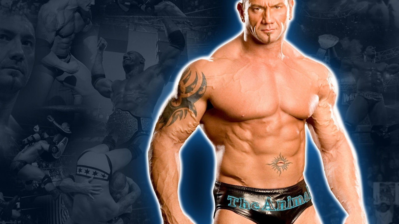 Wwe Superstar Batista