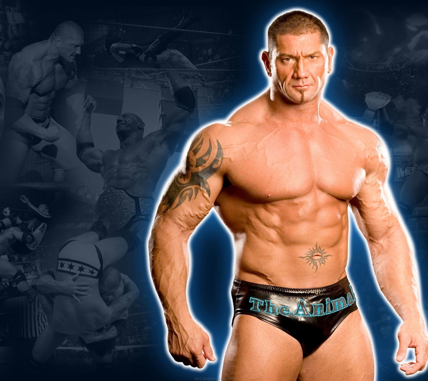 Wwe Superstar Batista