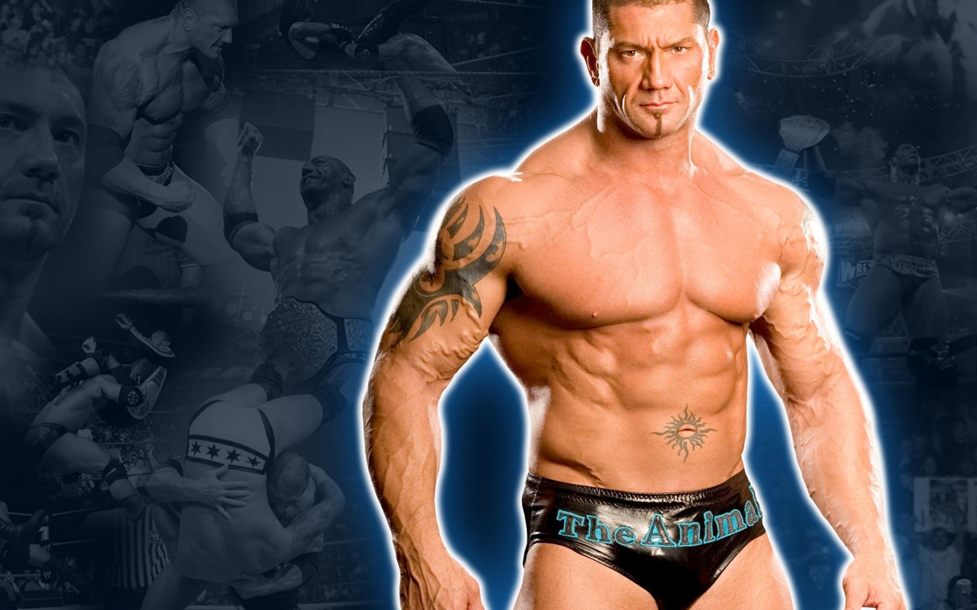 Wwe Superstar Batista