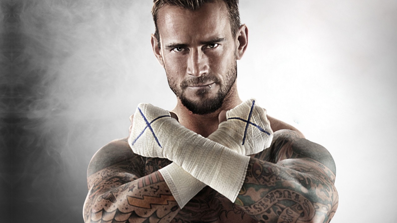 Wwe Superstar Cm Punk